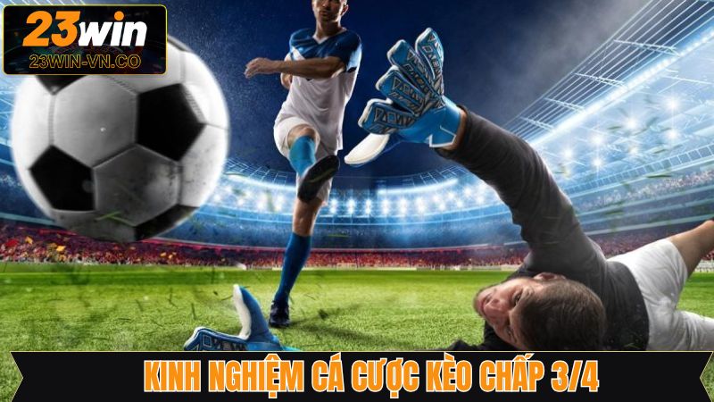 Theo dõi biến động tỷ lệ cược 0.75