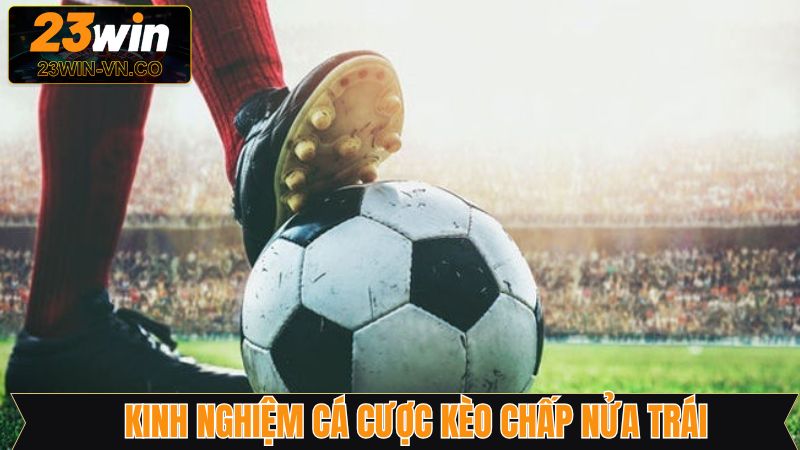 Tổng hợp kinh nghiệm chinh phục chiến thắng